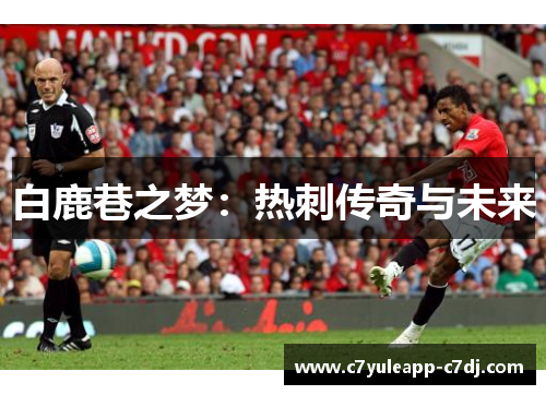 白鹿巷之梦：热刺传奇与未来